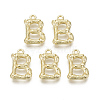 Alloy Pendants PALLOY-S137-001B-NR-2