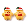 Christmas Theme Resin Cabochons RESI-R451-01A-1