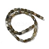 Natural Labradorite Beads Strands G-H087-D03-01-3