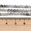 Natural Kyanite Beads Strands G-RM2025-A34-3mm-5