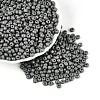 6/0 Baking Paint Glass Round Seed Beads SEED-S036-01C-09-1