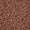 12/0 FGB Grade A Round Glass Seed Beads X-SEED-Q011-F501-2