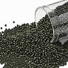 TOHO Round Seed Beads SEED-JPTR15-0617-1