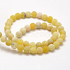 Frosted Natural Weathered Agate Beads Strands G-F367-8mm-11-3