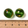 Handmade Transparent Lampwork Beads LAMP-C016-04D-03-3