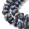 Natural Blue Spot Jasper Beads Strands G-L649-C01-01-4