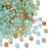 Transparent Acrylic Beads OACR-Z030-04B-1