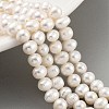 Natural Cultured Freshwater Pearl Beads Strands PEAR-C003-28-4