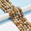 Natural Fossil Coral Beads Strands G-C038-02T-2