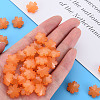 Imitation Jelly Acrylic Beads LS-MACR-S373-92-E05-6