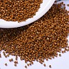 MIYUKI Delica Beads SEED-X0054-DB2108-1