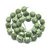 Natural Diopside Beads Strands G-K303-A10-12mm-2