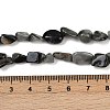 Natural Eagle Eye Stone Beads Strands G-Q060-D06-5