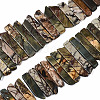 Natural Picasso Stone/Picasso Jasper Beads Strands G-S355-19-01-1