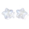 Transparent Acrylic Beads X-OACR-N008-096-4