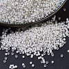 MIYUKI Delica Beads SEED-J020-DB0221-1