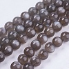 Natural Black Moonstone Beads Strands G-J157-8mm-05-1