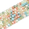 Electroplate Glass Beads Strands X-GLAA-T023-A16-07-1