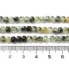 Natural Prehnite Beads Strands G-B088-E16-04-5