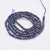 Natural Sapphire Beads Strands G-F568-137-2mm-2
