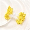 1 Bag Eco-Friendly Matte Gypsum Flower Core FIND-DJ0001-48D-5