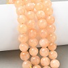 Dyed Natural Malaysia Jade Beads Strands G-G021-02C-23-5