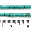 Synthetic Turquoise Beads Strands X-TURQ-G120-4x6mm-13-3