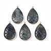 Natural Labradorite Pendants G-N326-108F-1