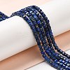 Natural Lapis Lazuli Beads Strands G-E608-B12-4