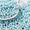 Baking Paint Glass Seed Beads SEED-C003-02E-1