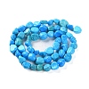 Natural Howlite Turquoise Beads Strands G-P497-01C-55-3