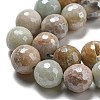 Natural Amazonite Beads Strands G-O164-02-12mm-6