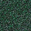MIYUKI Round Rocailles Beads X-SEED-G007-RR4507-3