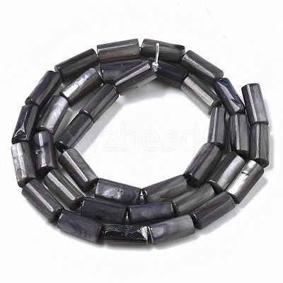 Natural Freshwater Shell Beads SHEL-R047-01-1