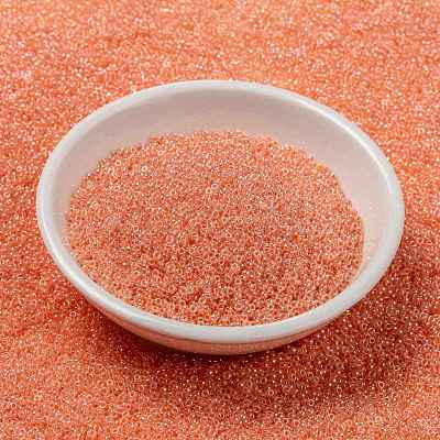 MIYUKI Round Rocailles Beads X-SEED-G009-RR0539-1