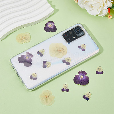 120pcs 3 Style Dried Pansy Flower DIY-HY0001-62-1
