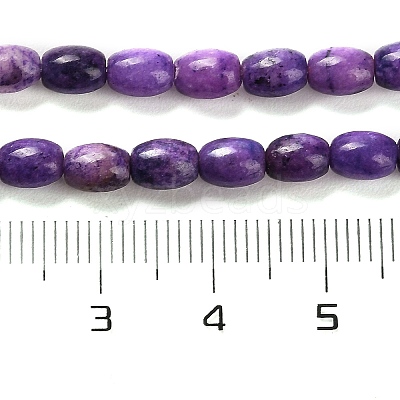 Natural Dolomite Beads Strands G-F765-A04-01-1
