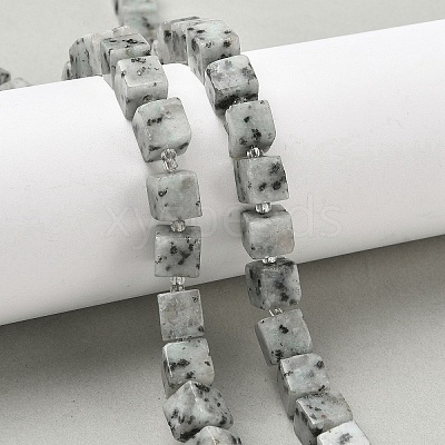 Natural Sesame Jasper Beads Strands G-D338-A20-1