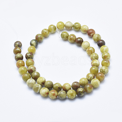 Natural Serpentine Jade Beads Strands G-P353-06-8mm-1