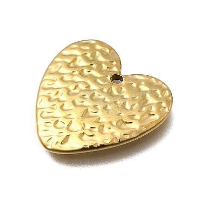 304 Stainless Steel Pendants STAS-Z163-01G-02-1
