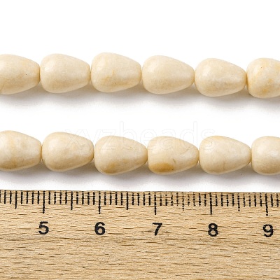 Natural Fossil Beads Strands G-F808-D01-01-1
