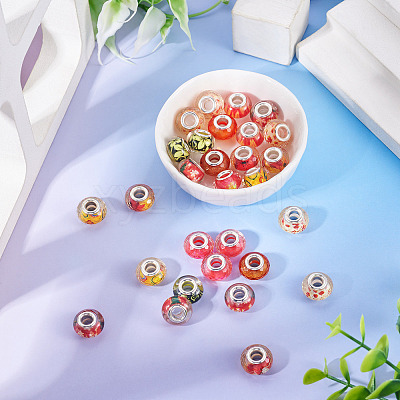 30Pcs Printed Transparent Resin European Beads RESI-TADJ0001-03J-1