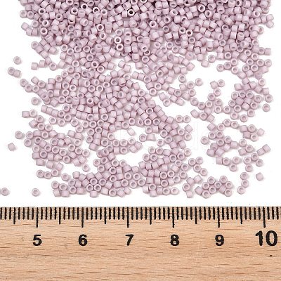 MIYUKI Delica Beads X-SEED-J020-DB0356-1