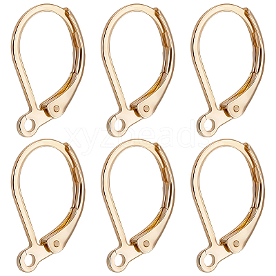100Pcs 316L Surgical Stainless Steel Leverback Earring Findings STAS-BBC0010-61G-1