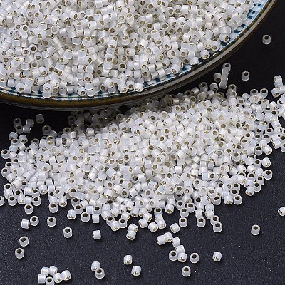 MIYUKI Delica Beads SEED-J020-DB0221-1