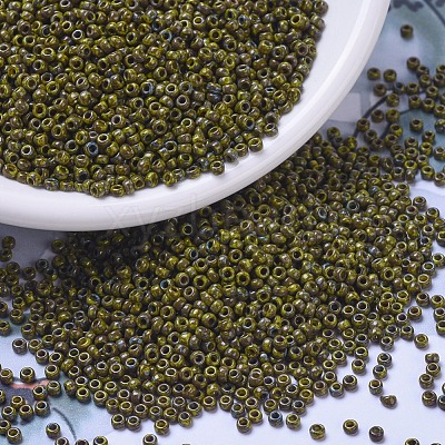 MIYUKI Round Rocailles Beads SEED-G007-RR4519-1