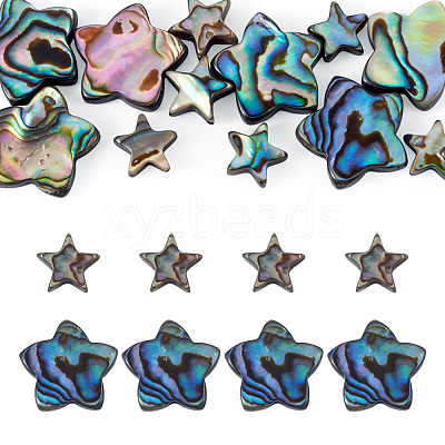 12Pcs 2 Styles Natural Abalone Shell/Paua Shell Beads SHEL-TA0001-40-1
