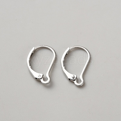 Brass Hoop Earring Findings DIY-WH0888-510P-1