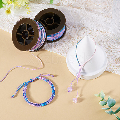 2 Rolls 2 Colors Segment Dyed Round Polyester Twisted Cords OCOR-TA0003-59B-1