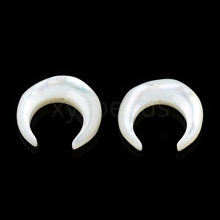 Natural White Shell Beads SSHEL-N034-122B-03-1